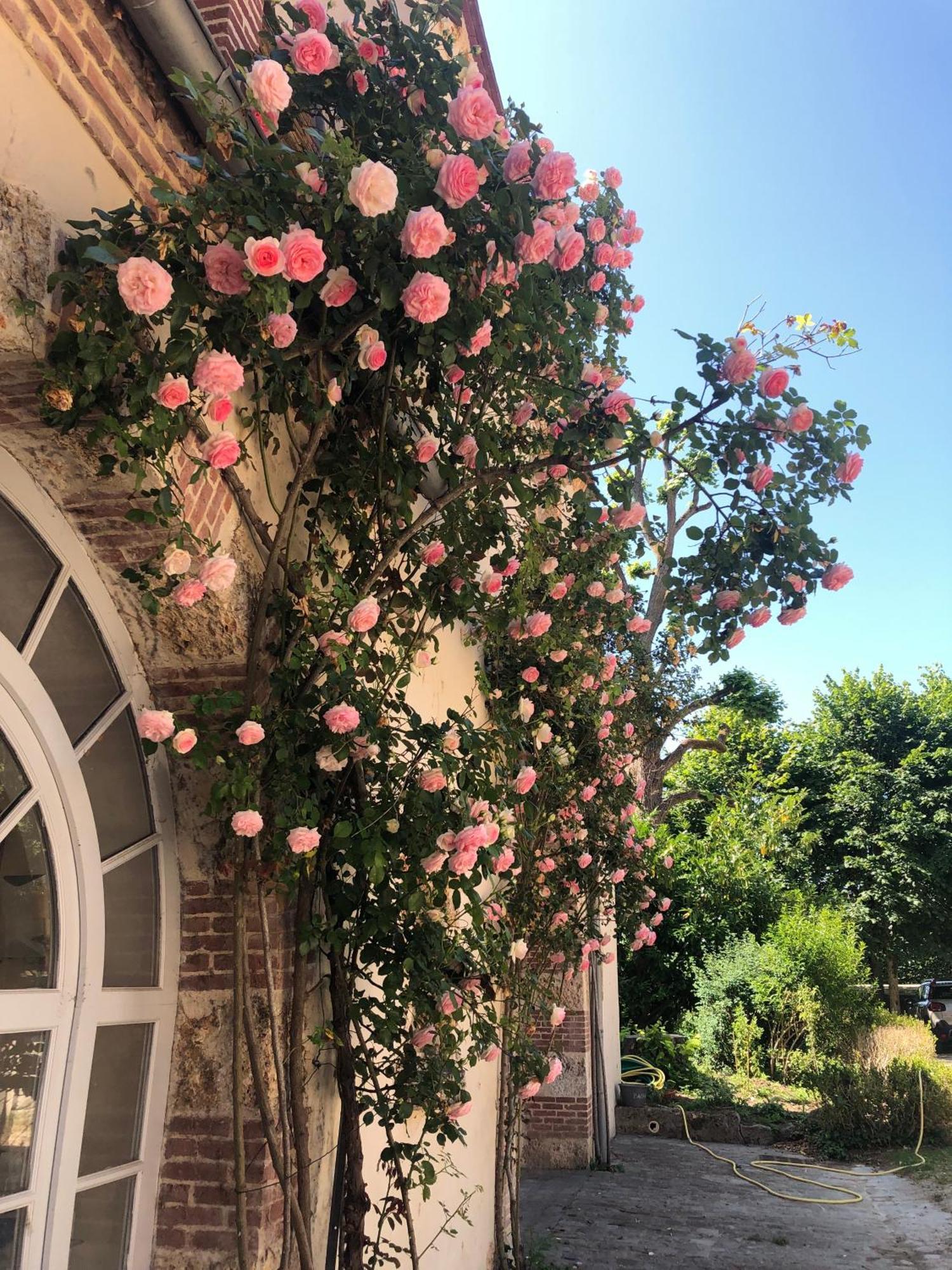 Château de la Cour Senlisse Exterior foto